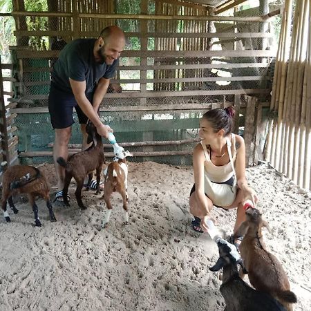 Yaoisland Resort And Farm Ko Yao Yai Exterior photo