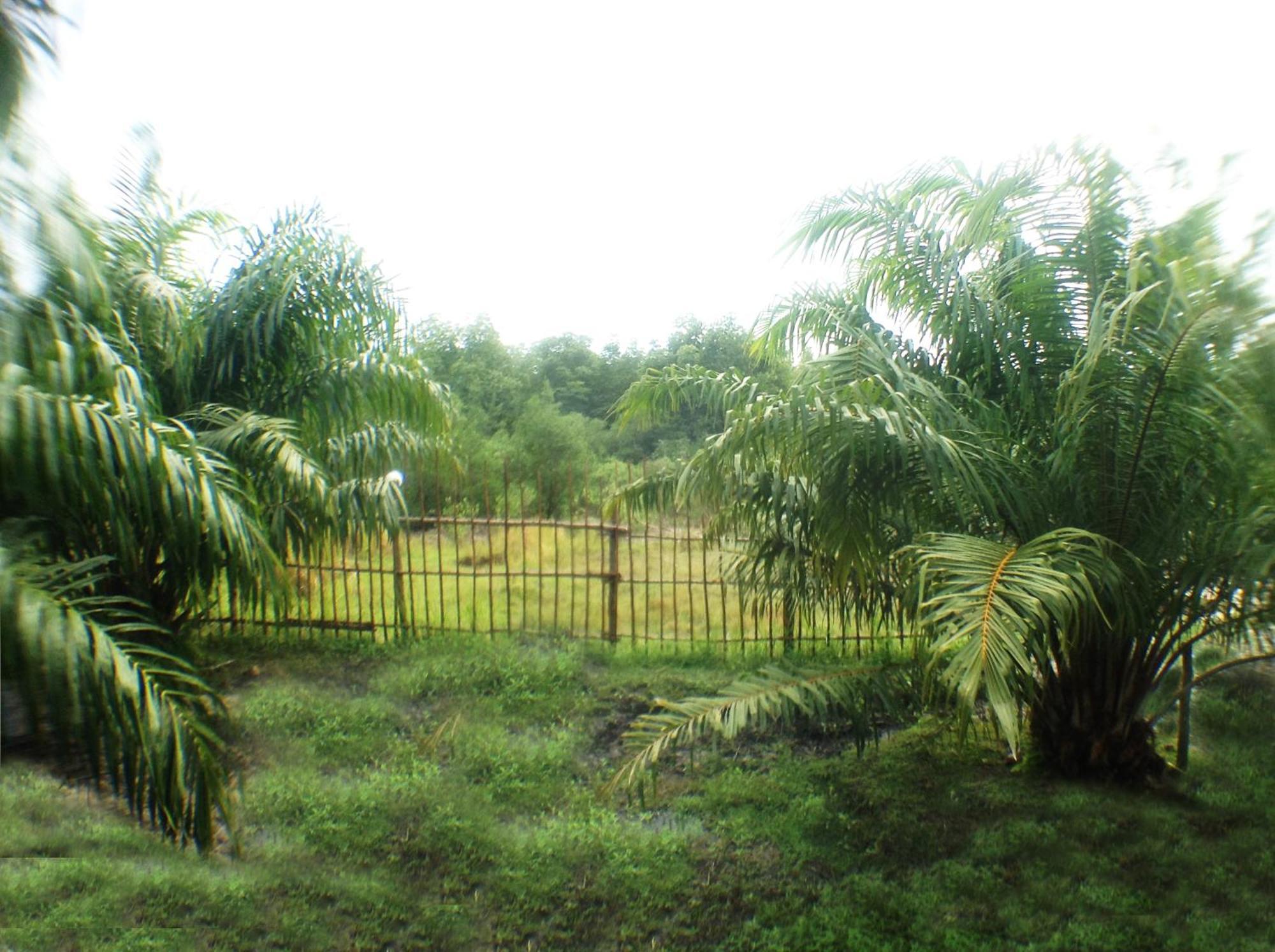 Yaoisland Resort And Farm Ko Yao Yai Exterior photo