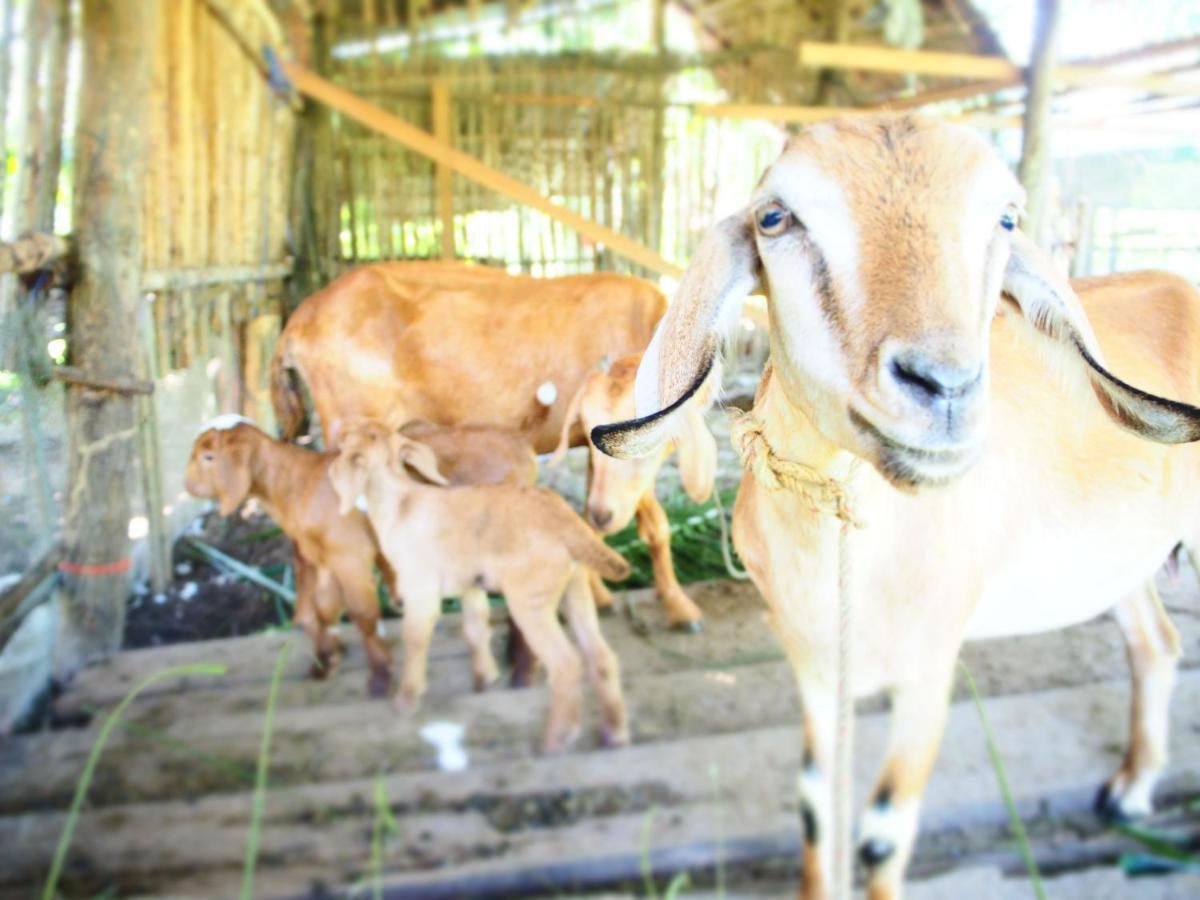 Yaoisland Resort And Farm Ko Yao Yai Exterior photo